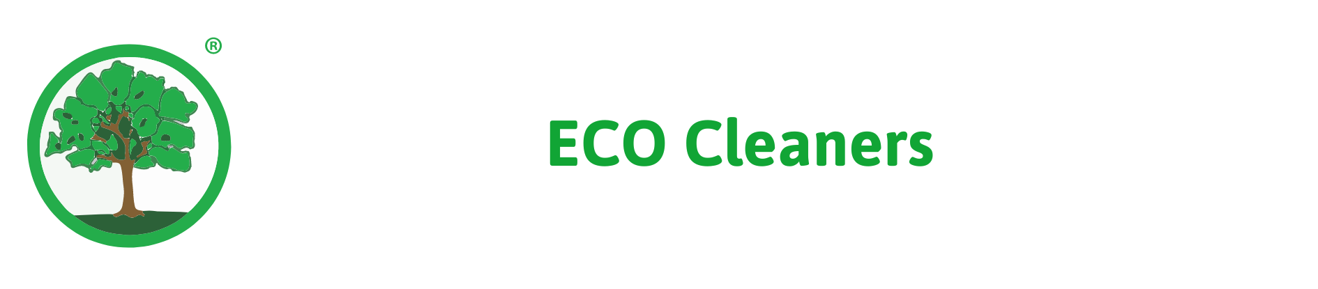 CHEMICS ECO Cleaners GmbH Startseite 
