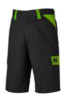 Dickies Everyday Shorts