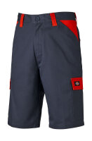 Dickies Everyday Shorts