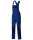 Dickies Everyday Latzhose