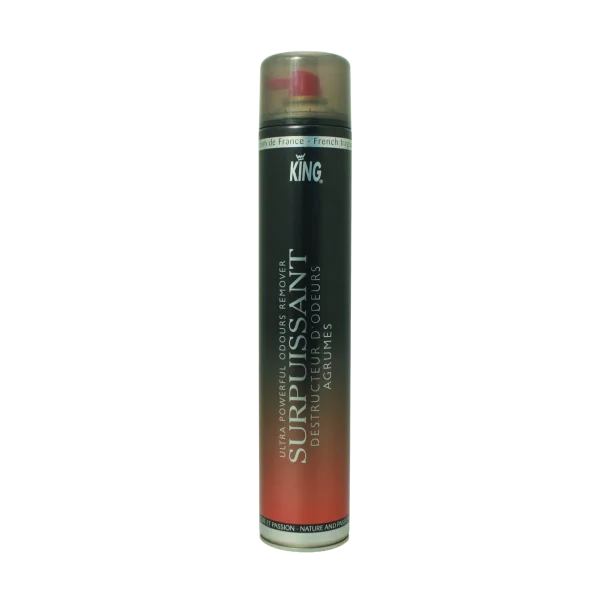 King Kraftvoller Geruchsvernichter Zitrus  750 ml